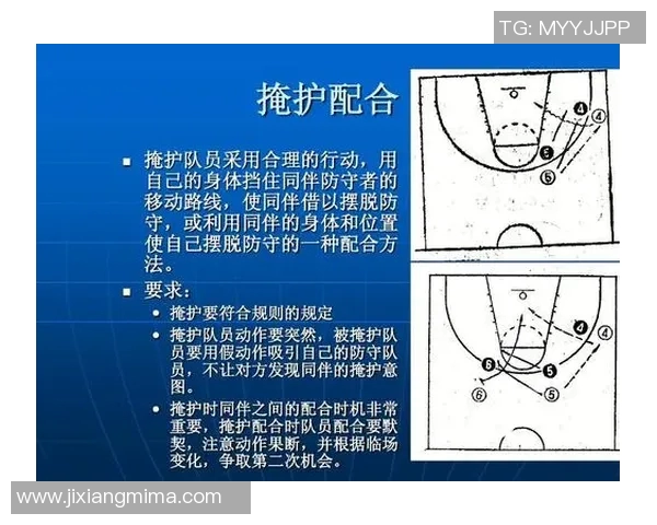 南京篮球队实力对比深度剖析各队员表现与战术优势解析 南京篮球队实力对比深度剖析各队员表现与战术优势解析