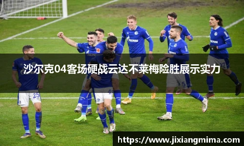 沙尔克04客场硬战云达不莱梅险胜展示实力